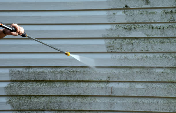 Best House Pressure Washing  in Eureka Mill, SC